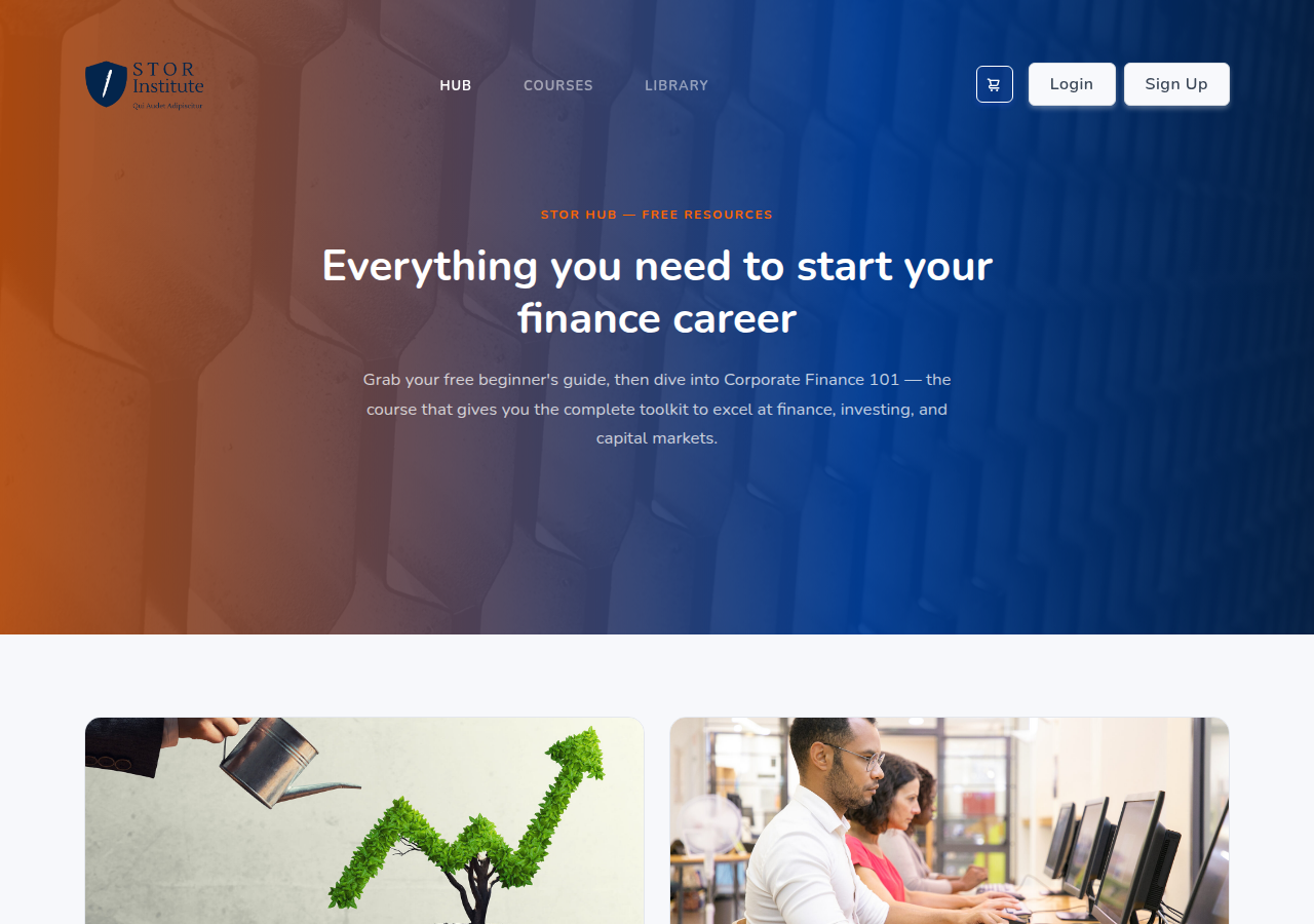 Screenshot of storinstitute.com