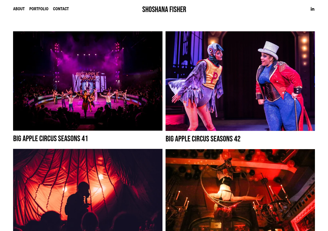 Screenshot of shoshanafisher.com