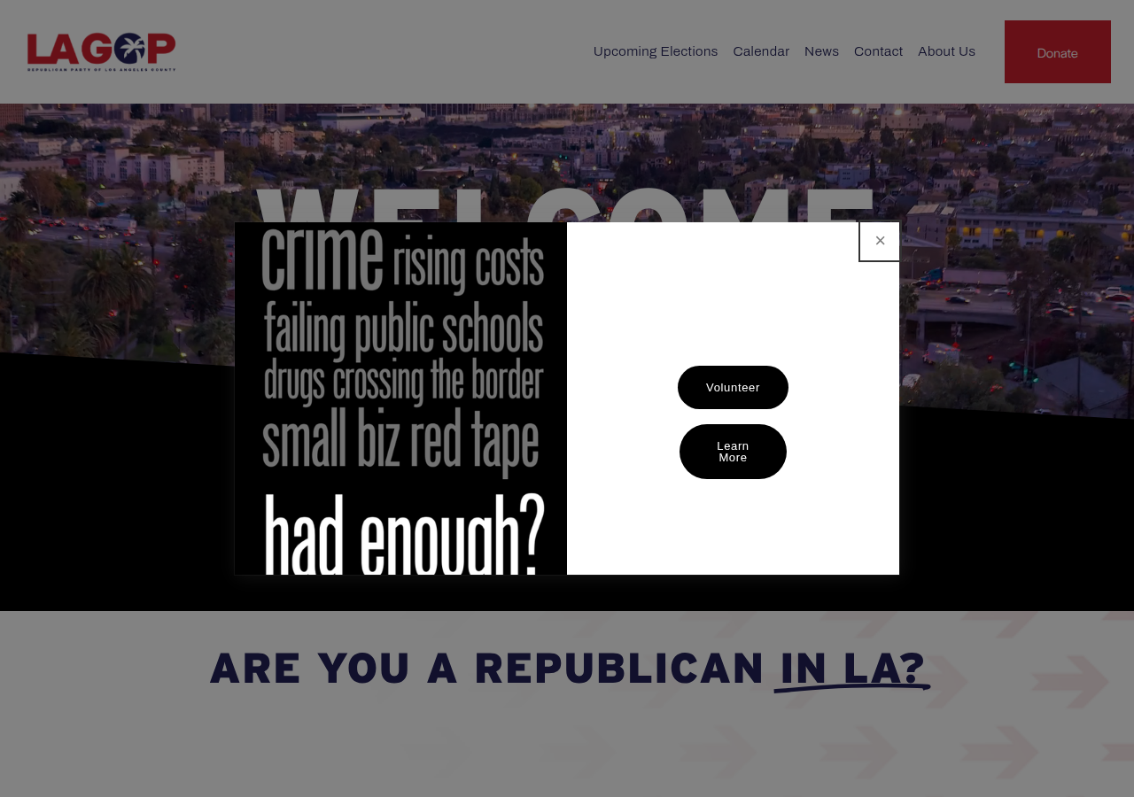 Screenshot of lagop.org