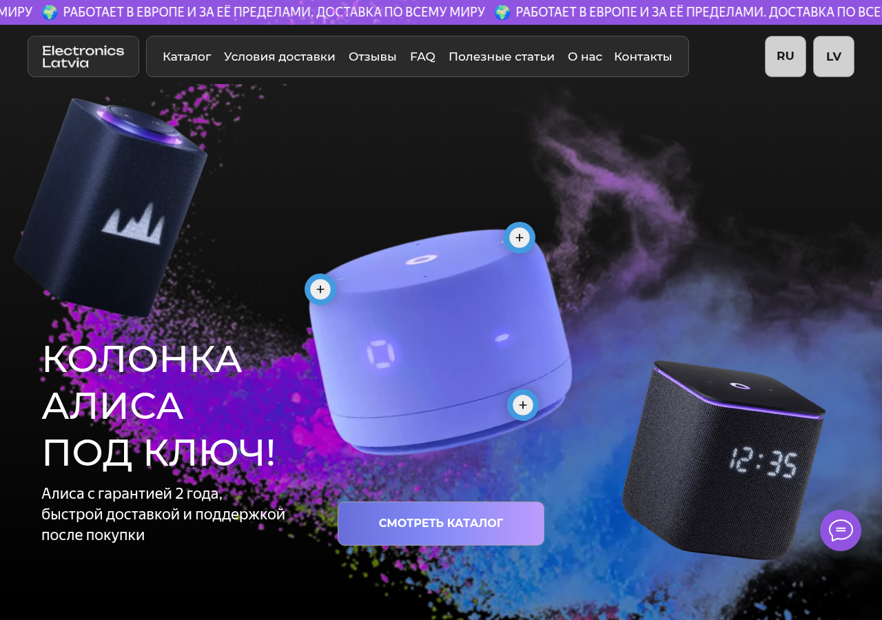 Screenshot of electronicslatvia.com