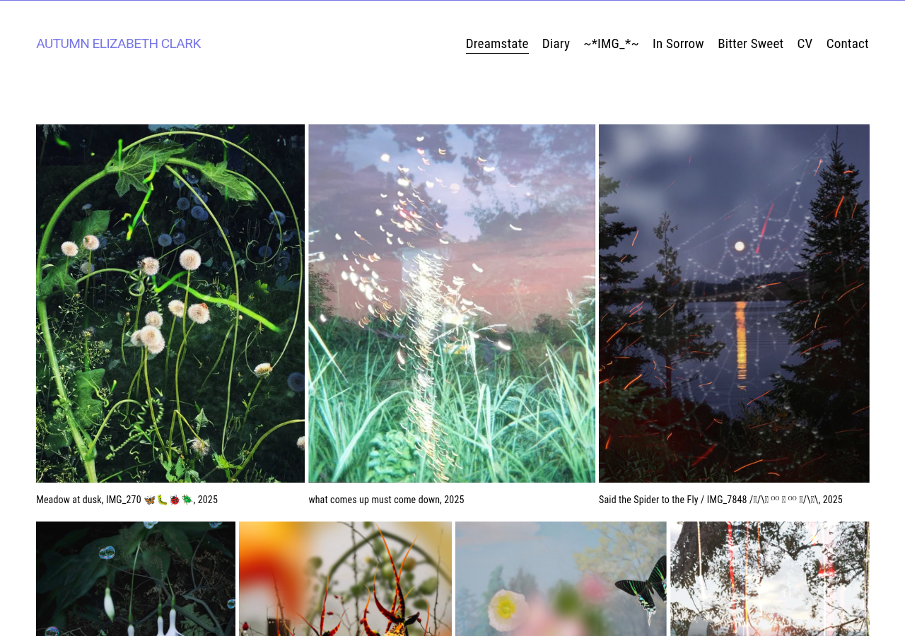 Screenshot of autumnelizabethclark.com
