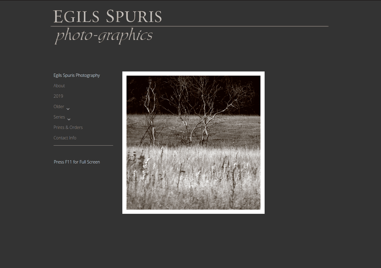 Screenshot of egilsspuris.com