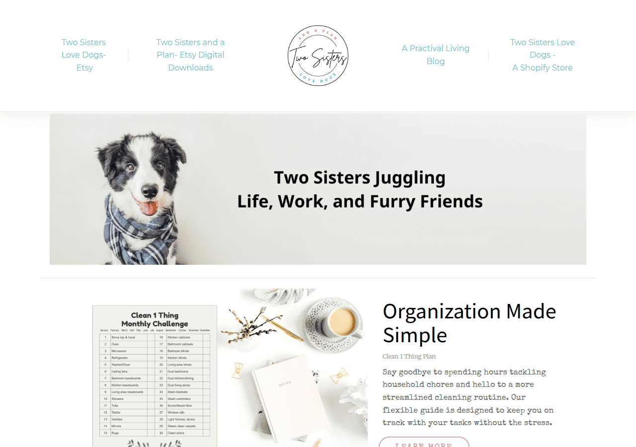 Screenshot of twosistersandaplan.com