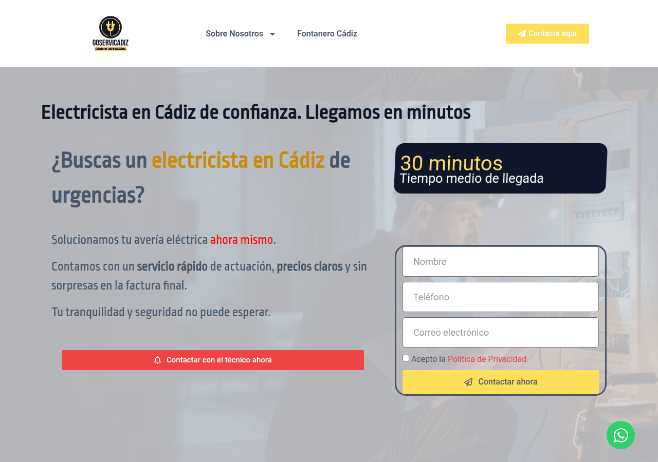 Screenshot of goservicadiz.es