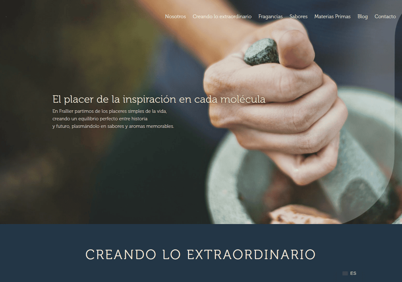 Screenshot of frallier.com