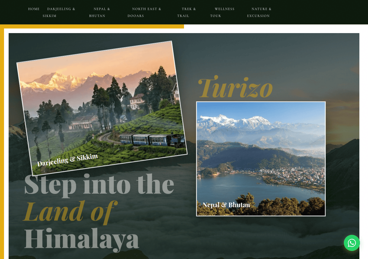 Screenshot of turizo.in