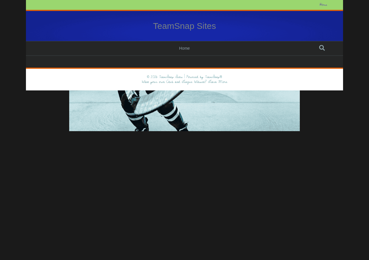 Screenshot of teamsnapsites.com