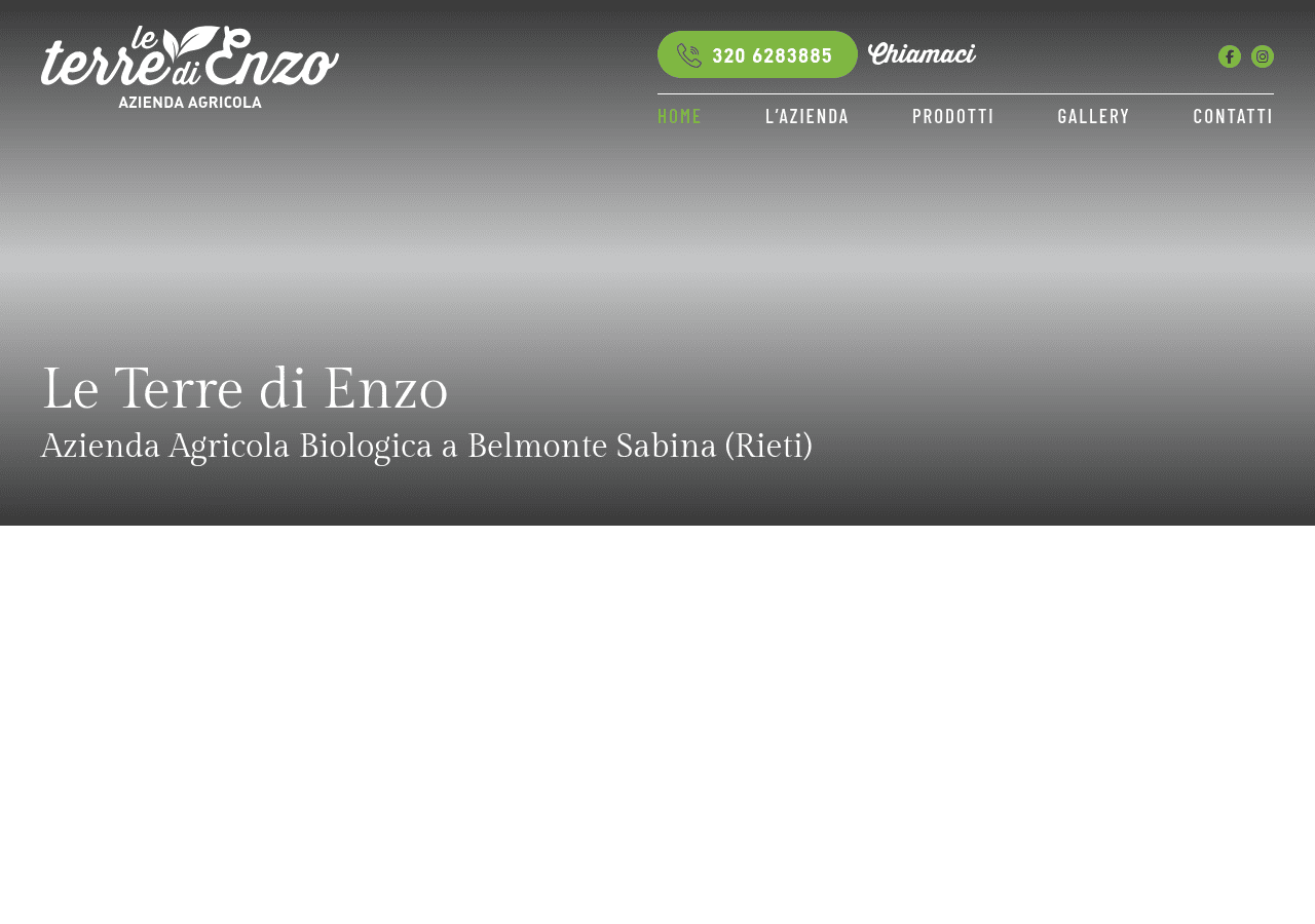 Screenshot of leterredienzo.it