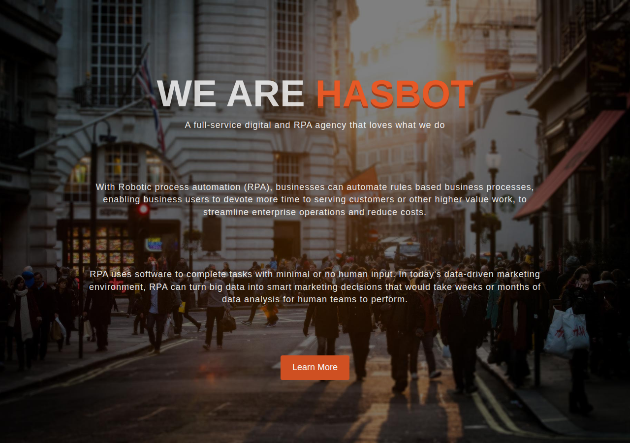Screenshot of hasbot.in
