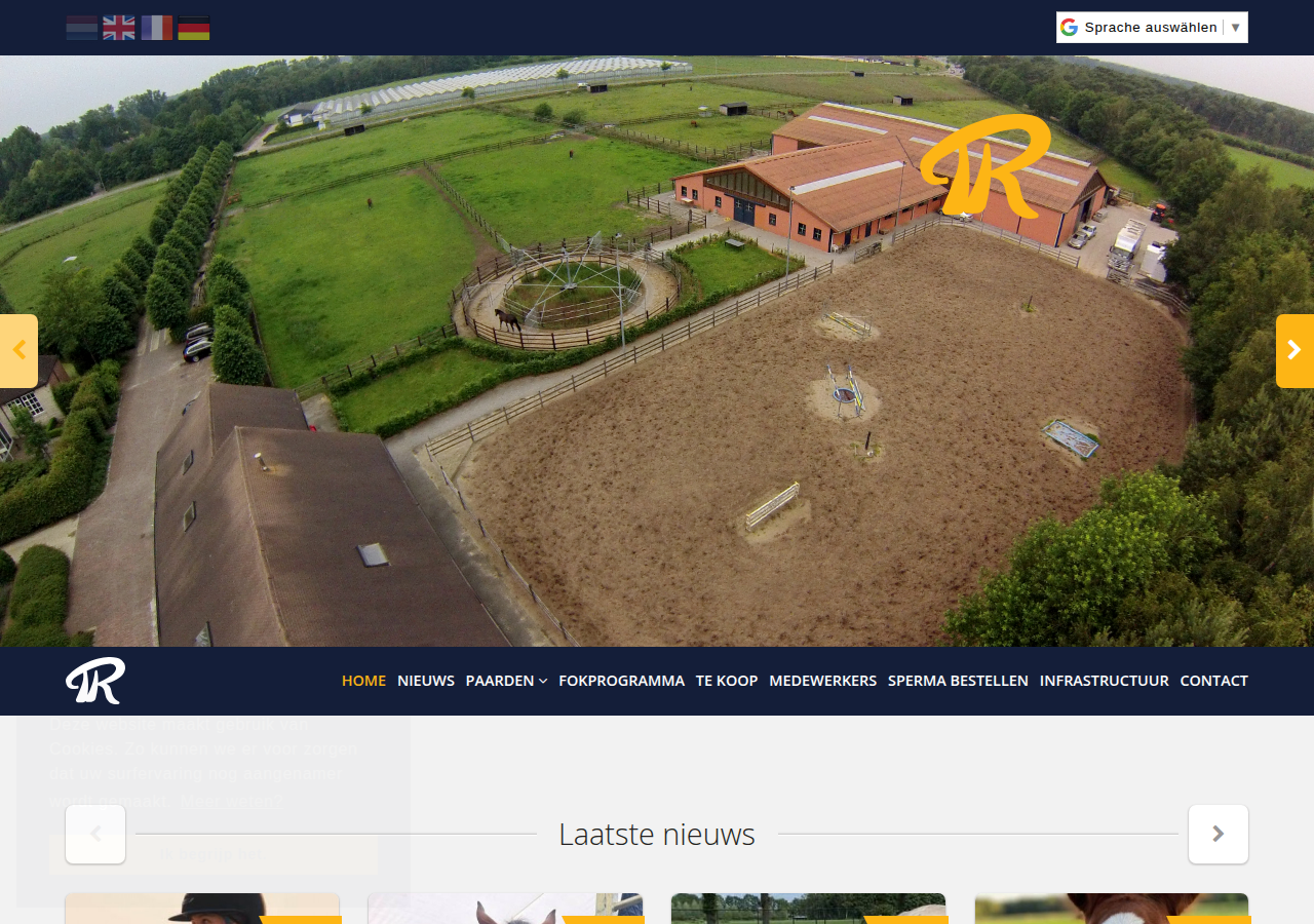 Screenshot of yacelo.be