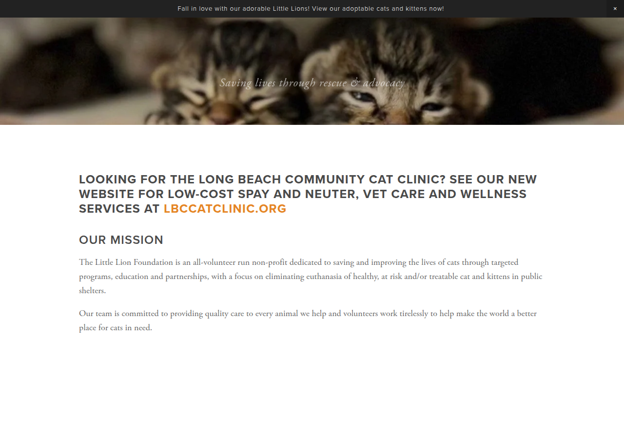 Screenshot of littlelionfoundation.org
