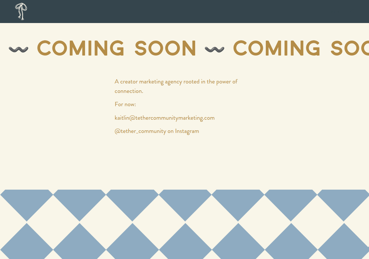 Screenshot of tethercommunitymarketing.com