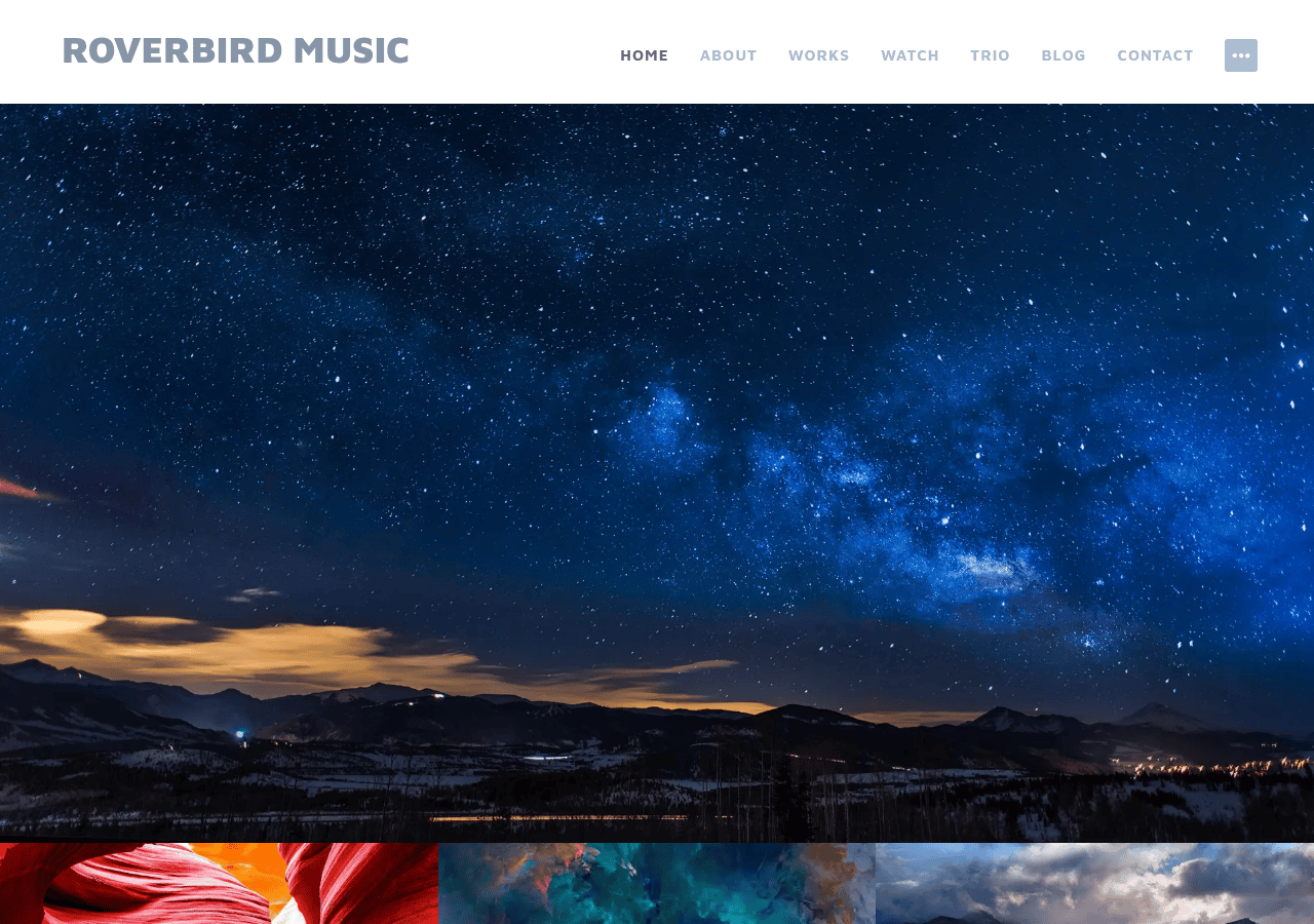 Screenshot of roverbird.com