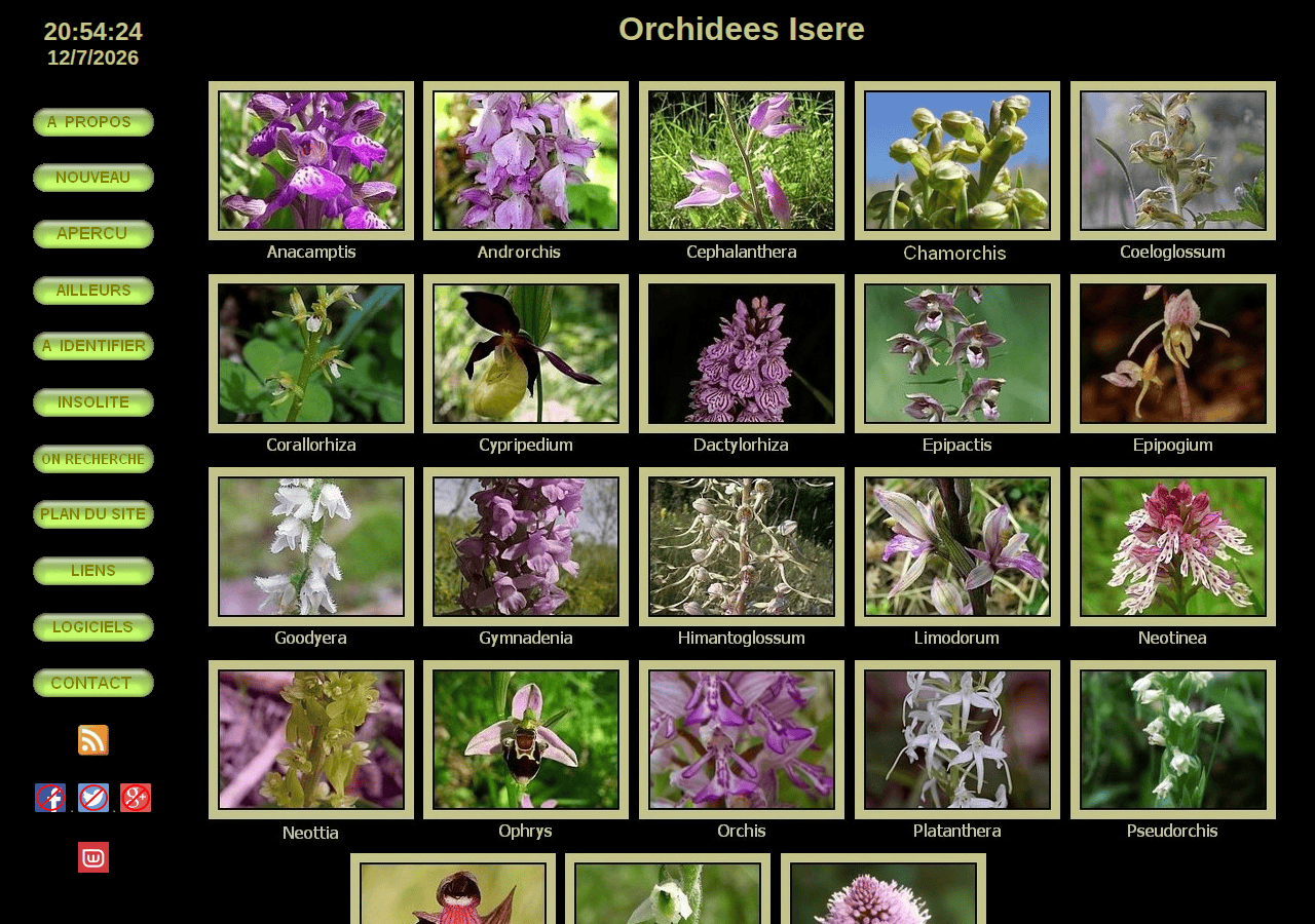 Screenshot of orchisere.fr
