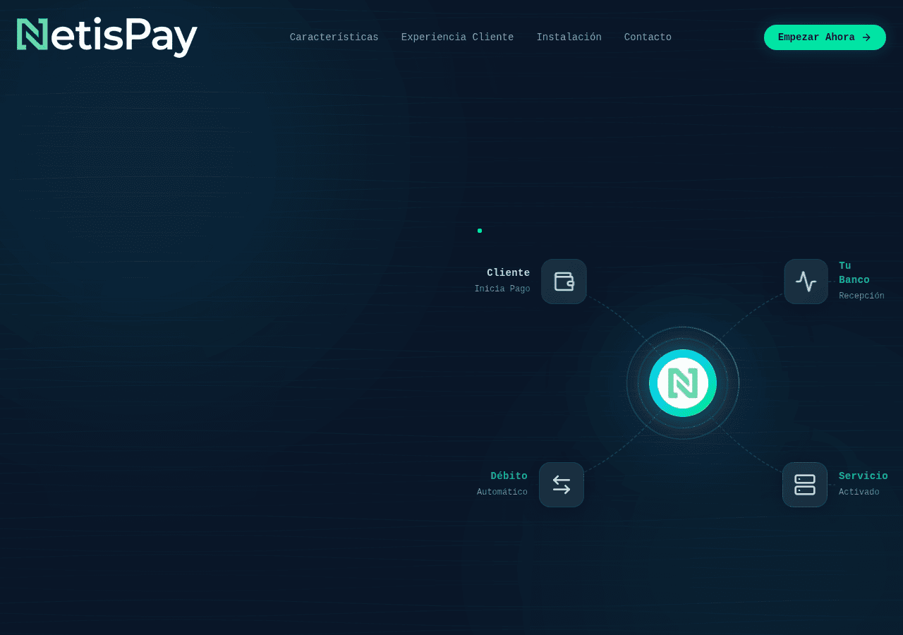 Screenshot of qa-netispay.site