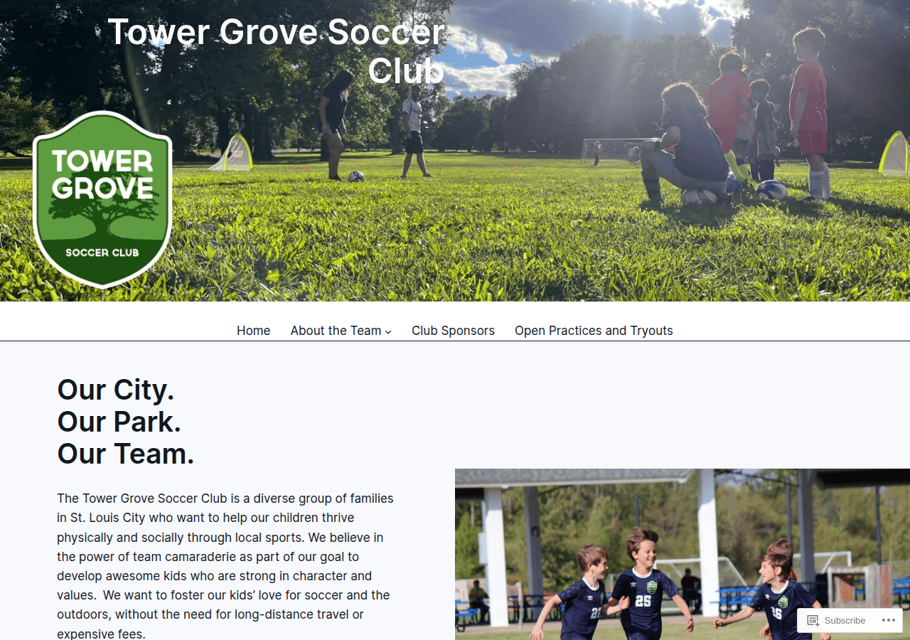 Screenshot of towergrovesoccer.com