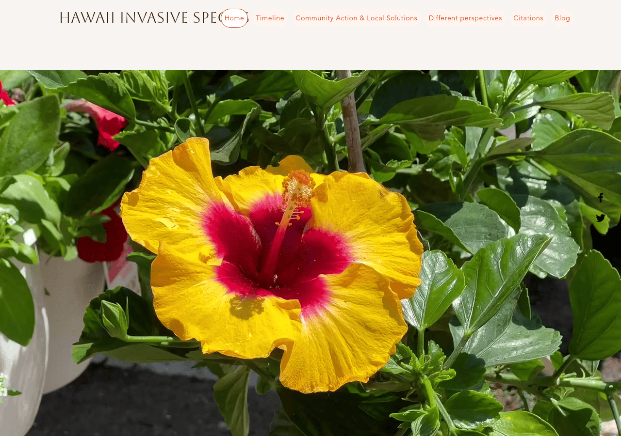 Screenshot of hawaiiinvasivespecies.com