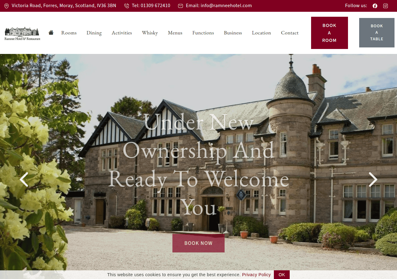 Screenshot of ramneehotel.com