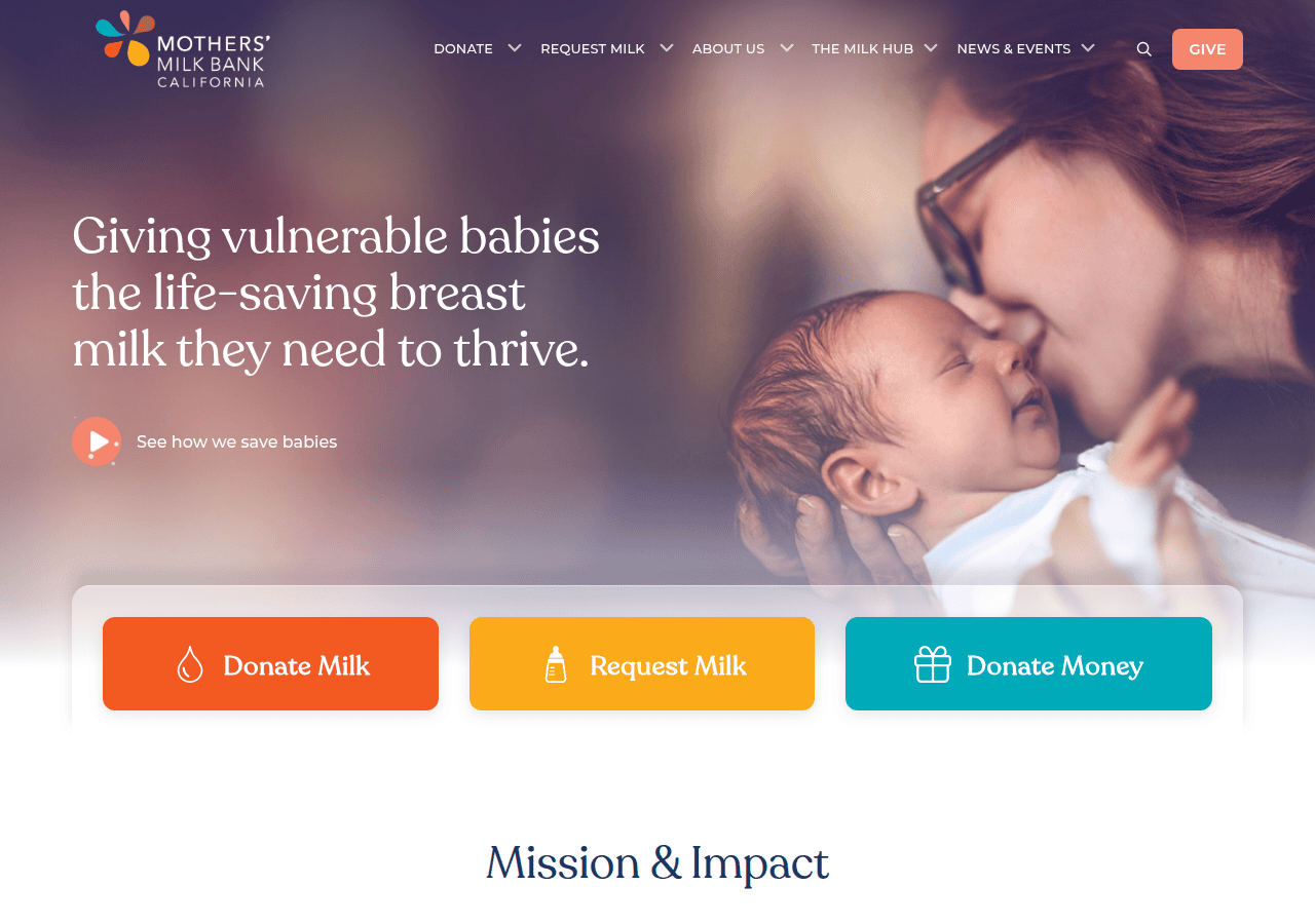 Screenshot of mothersmilk.org