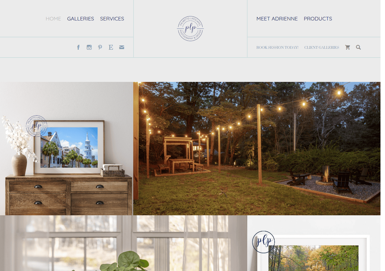 Screenshot of palmettolifescapesphotography.com