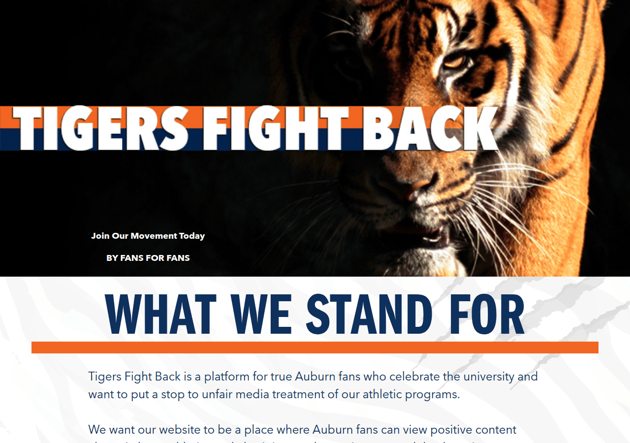 Screenshot of tigersfightback.com