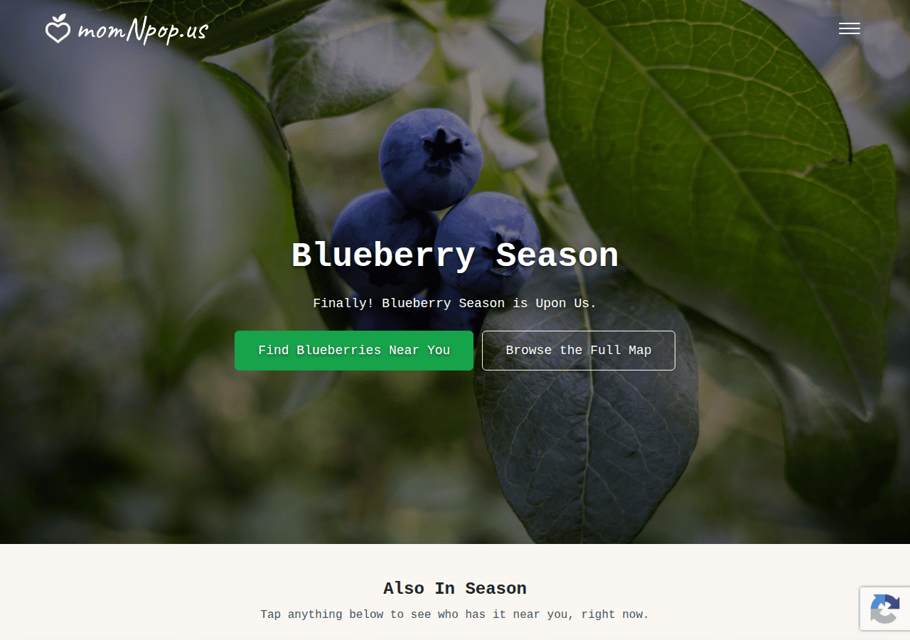 Screenshot of momnpop.us