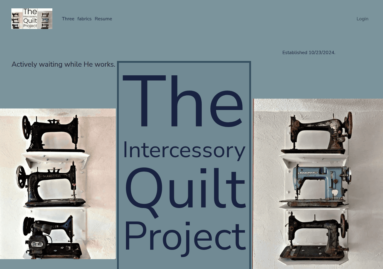 Screenshot of intercessoryquiltproject.com