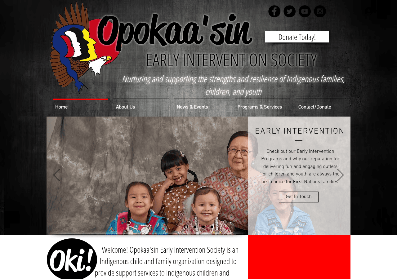 Screenshot of opokaasin.org