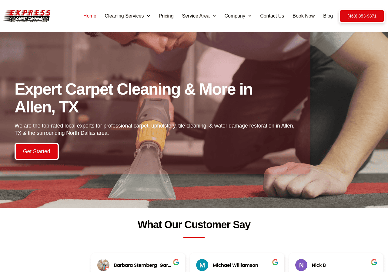 Screenshot of expresscarpetcleaning.com