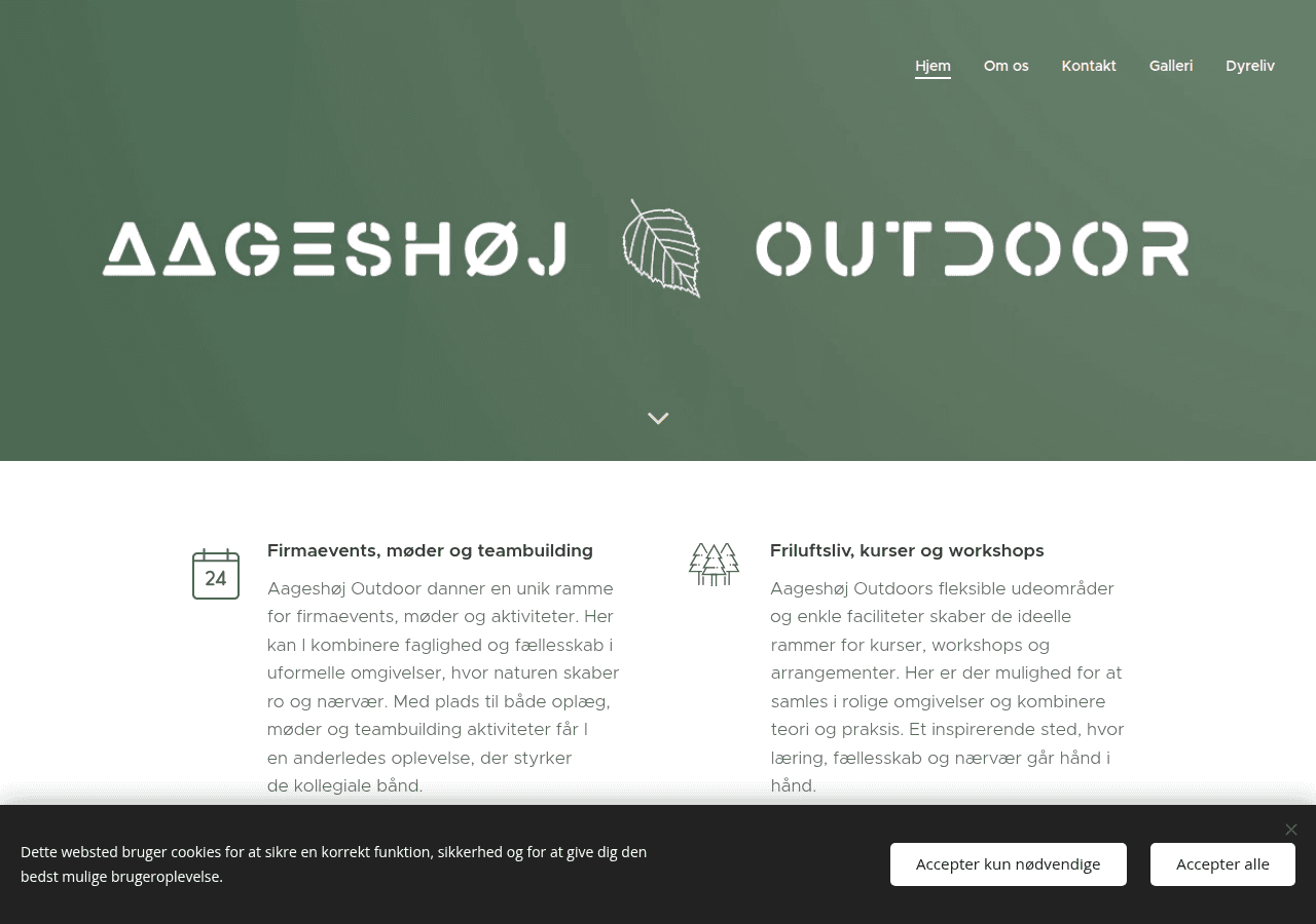 Screenshot of aageshoej.dk