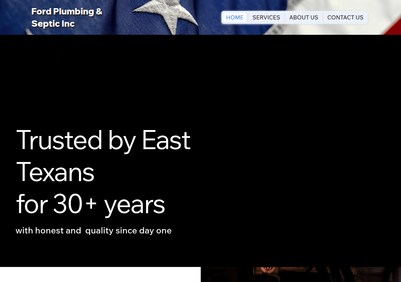 Screenshot of fordplumbingandseptic.com