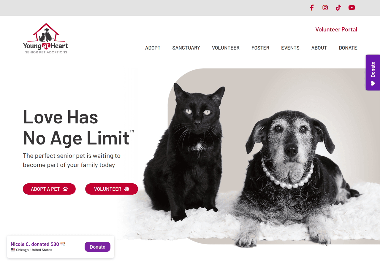 Screenshot of adoptaseniorpet.com