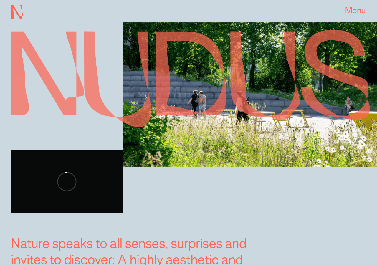 Screenshot of nudus.eu