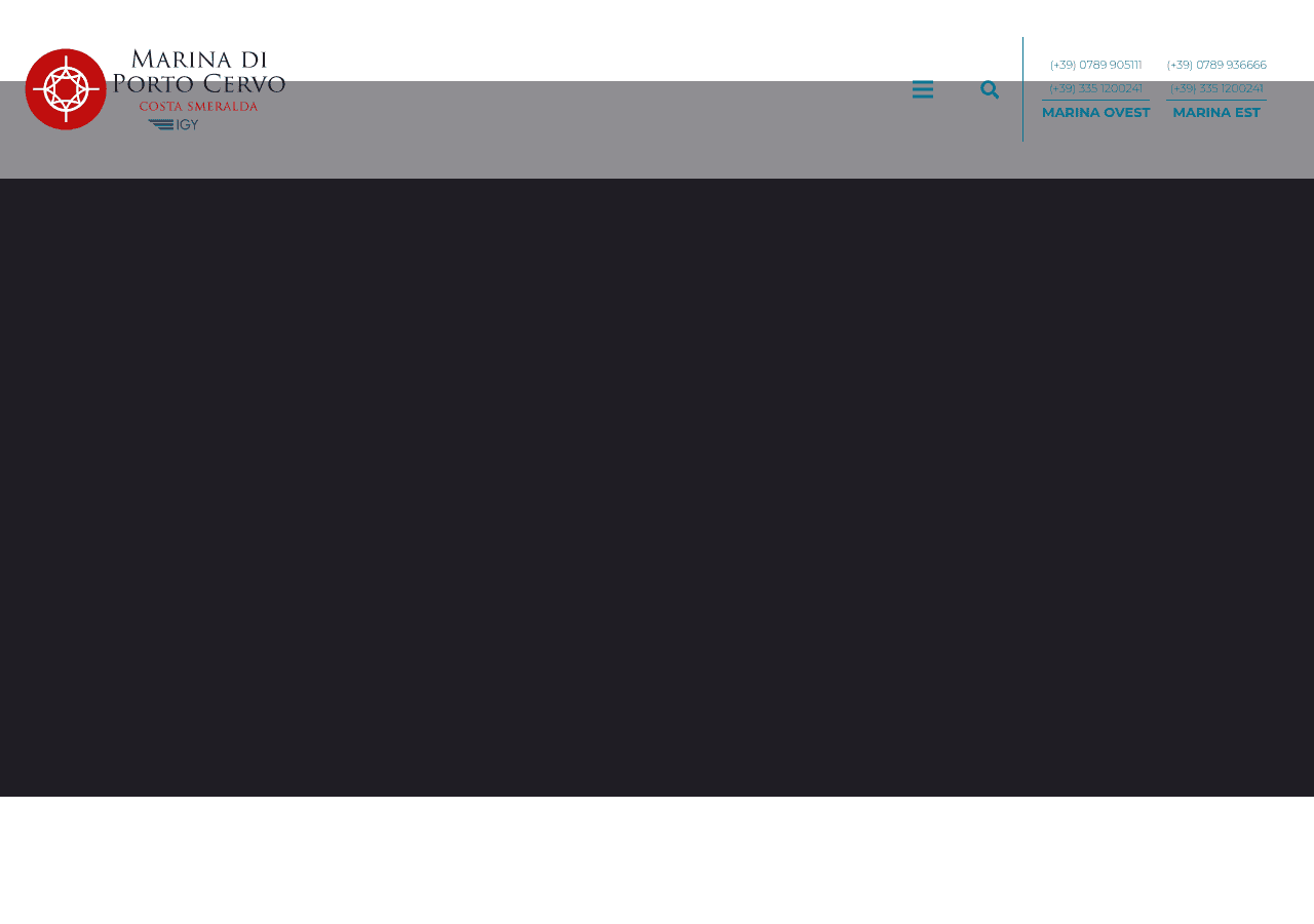 Screenshot of marinadiportocervo.com
