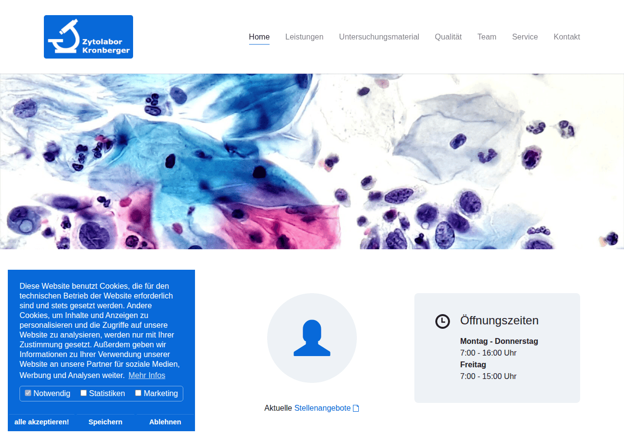 Screenshot of zytolabor-kronberger.at