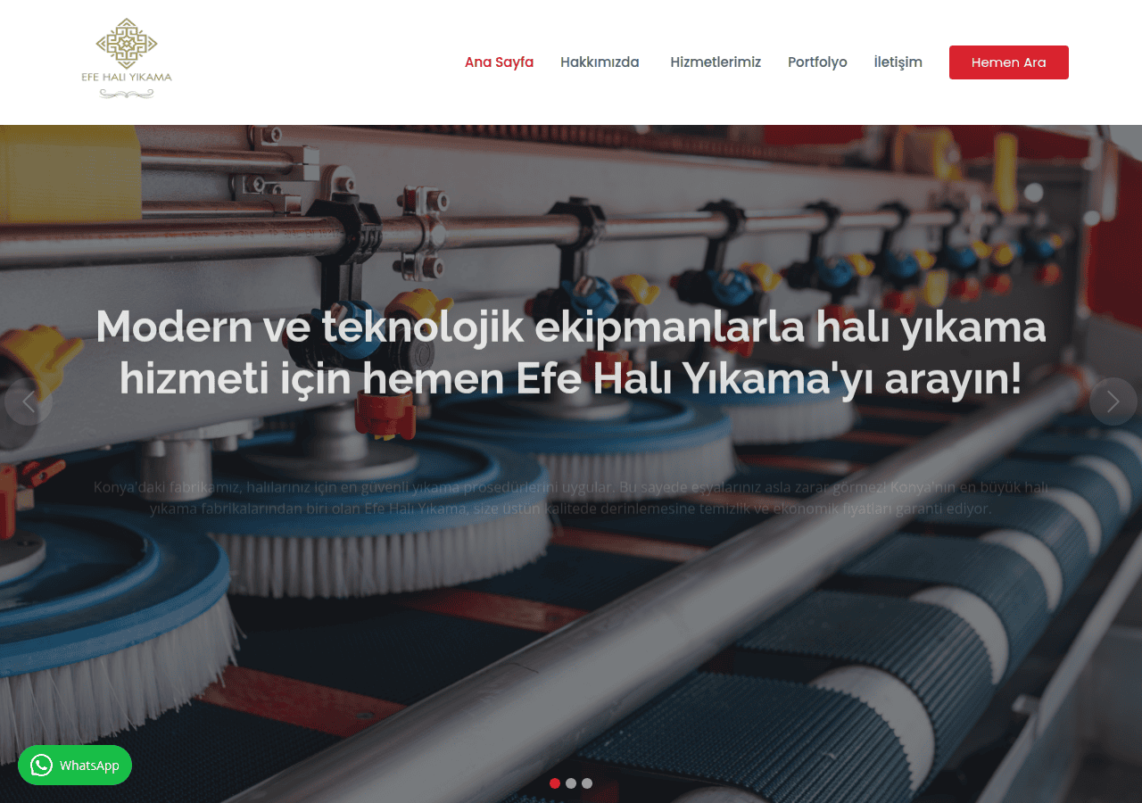 Screenshot of efehaliyikamakonya.com