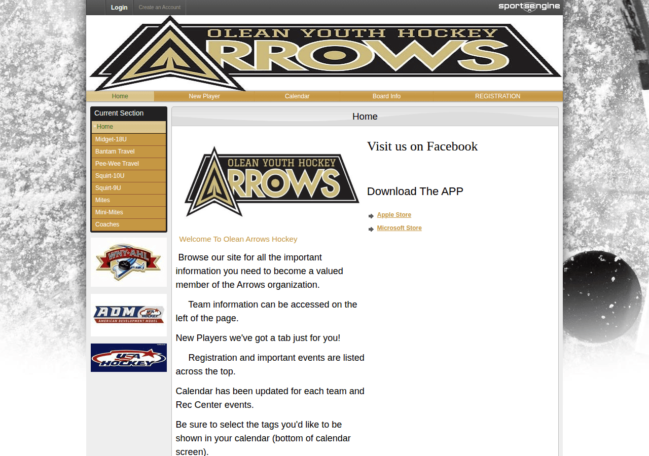Screenshot of oleanarrows.com