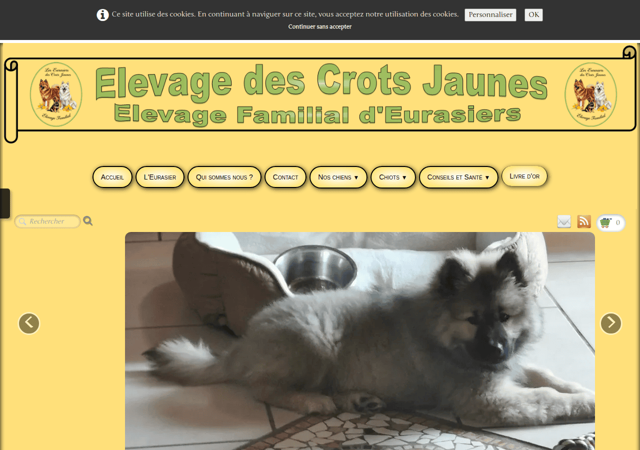 Screenshot of elevage-des-crocs-jaunes.fr