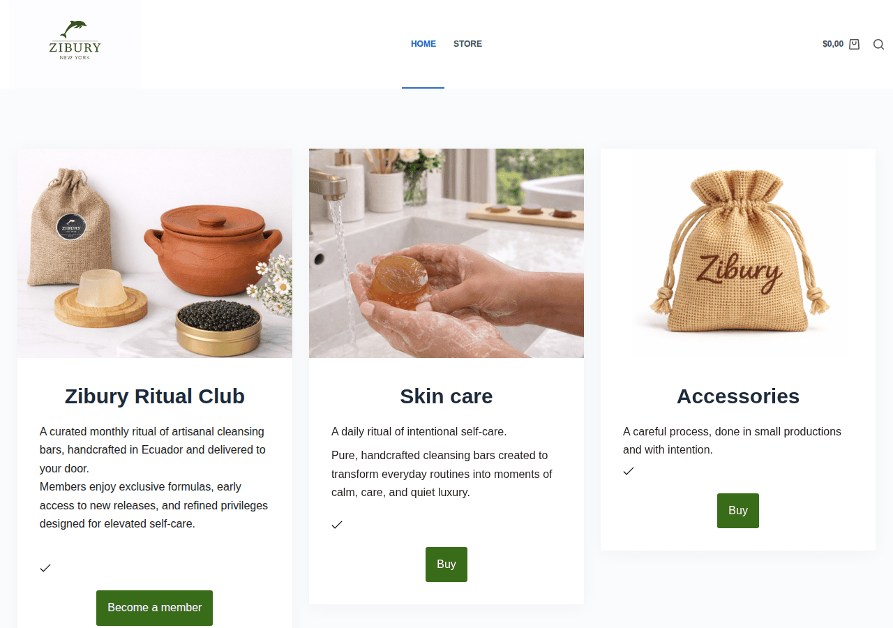 Screenshot of zibury.com