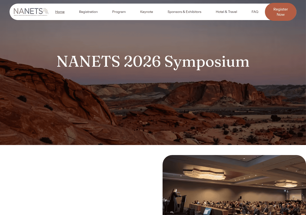 Screenshot of nanetssymposium.net