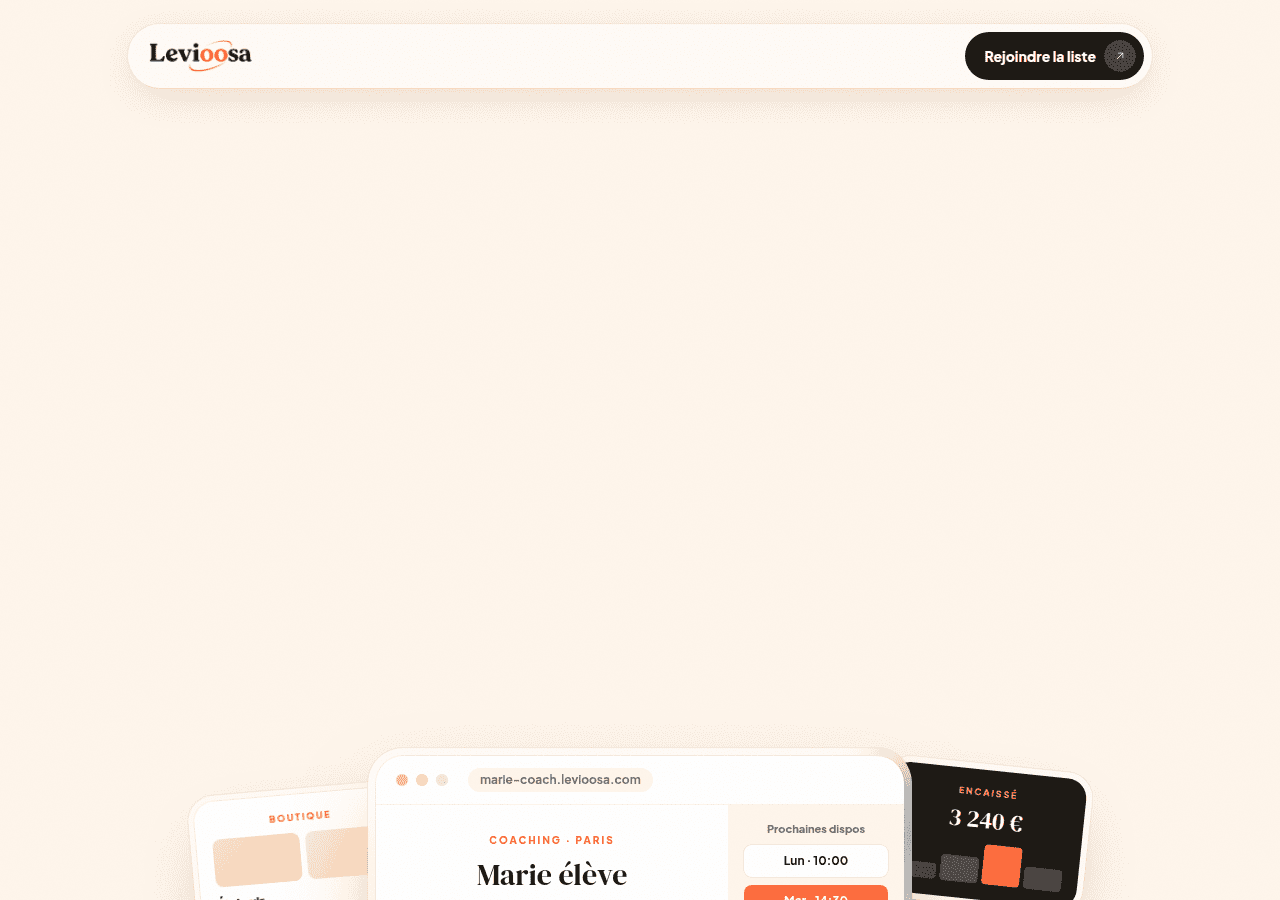 Screenshot of levioosa.com
