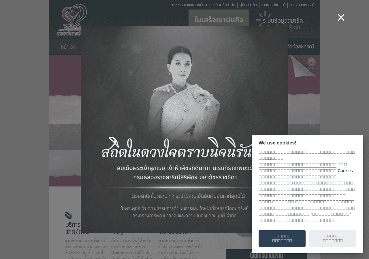 Screenshot of coopmsds.com