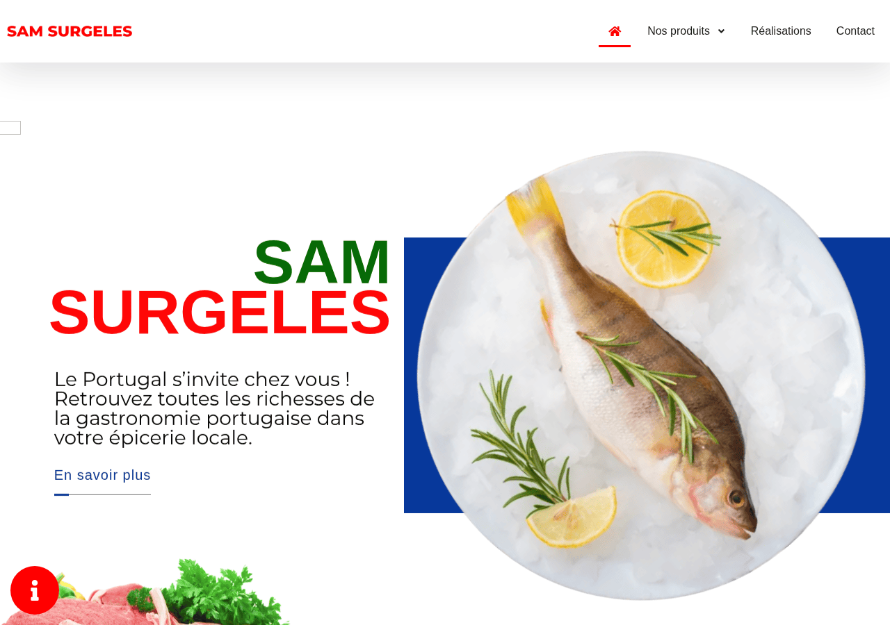 Screenshot of sam-surgeles-45.fr