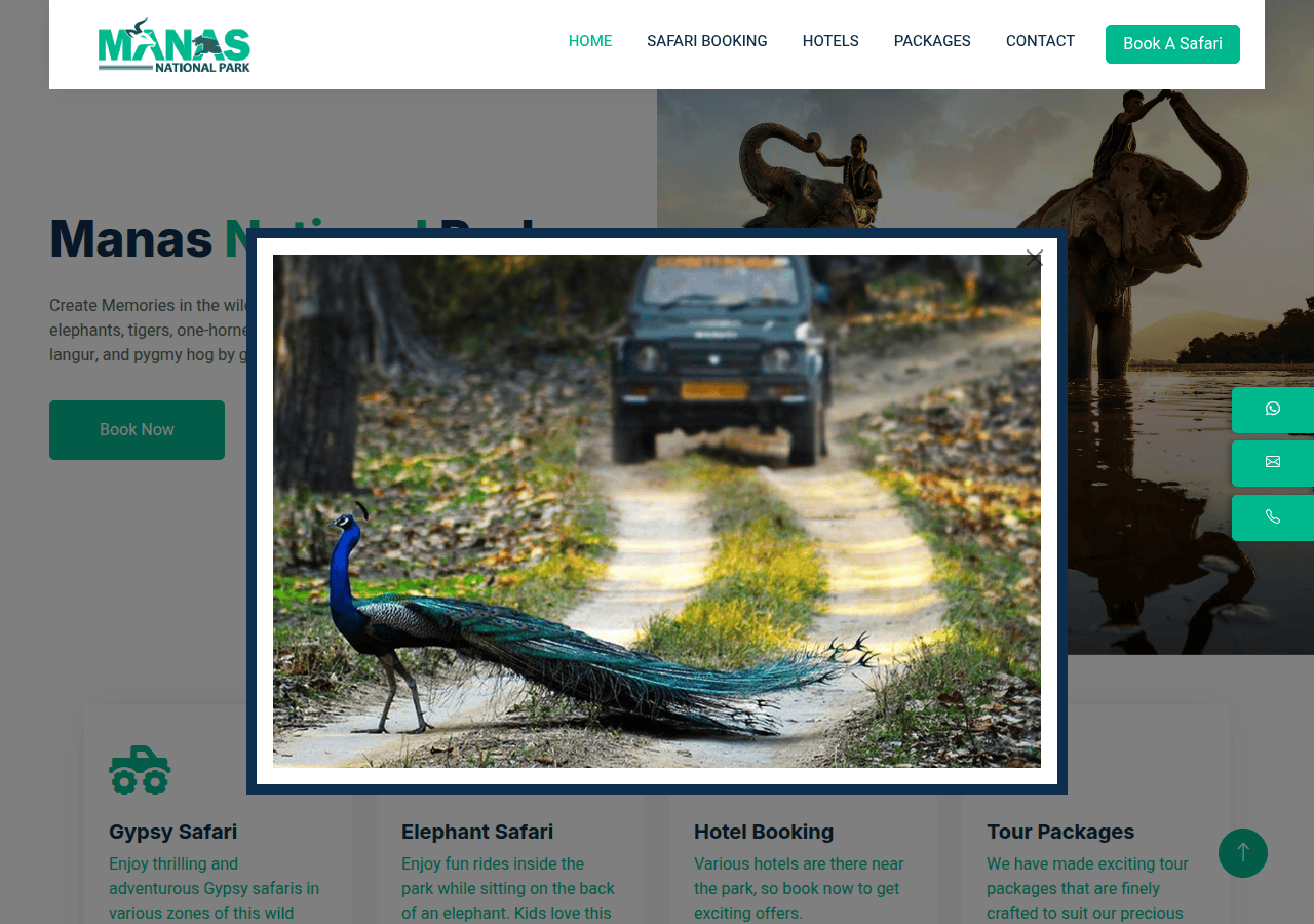 Screenshot of manassafari.in