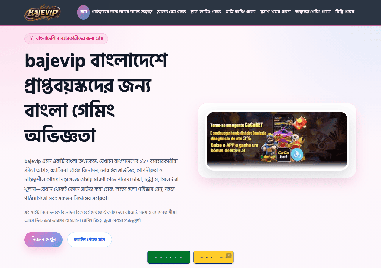 Screenshot of bajevip.org