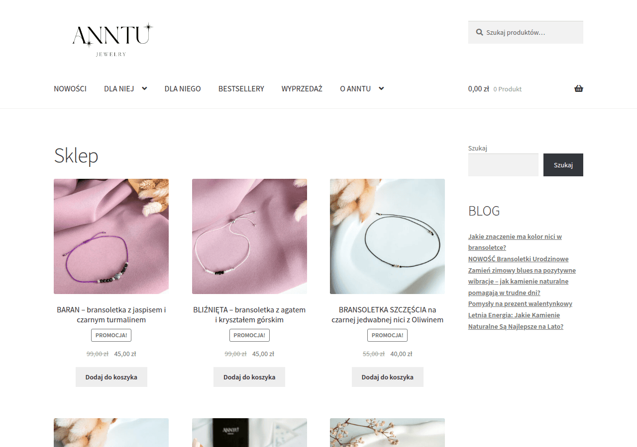 Screenshot of anntu.pl