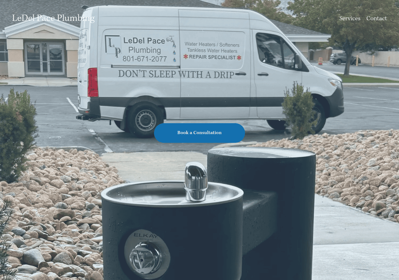 Screenshot of ledelpaceplumbing.com