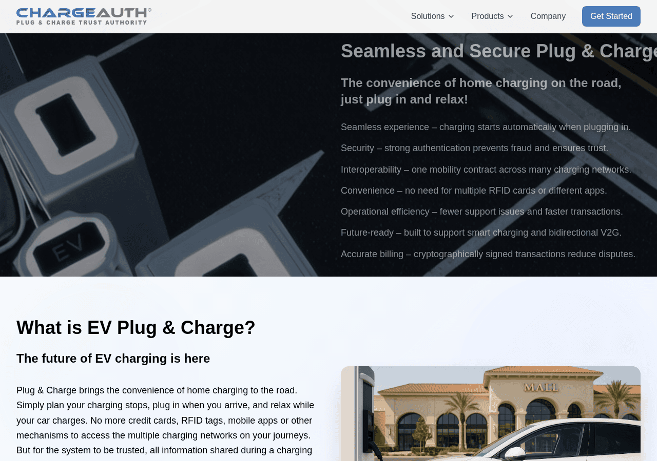 Screenshot of chargeauth.com