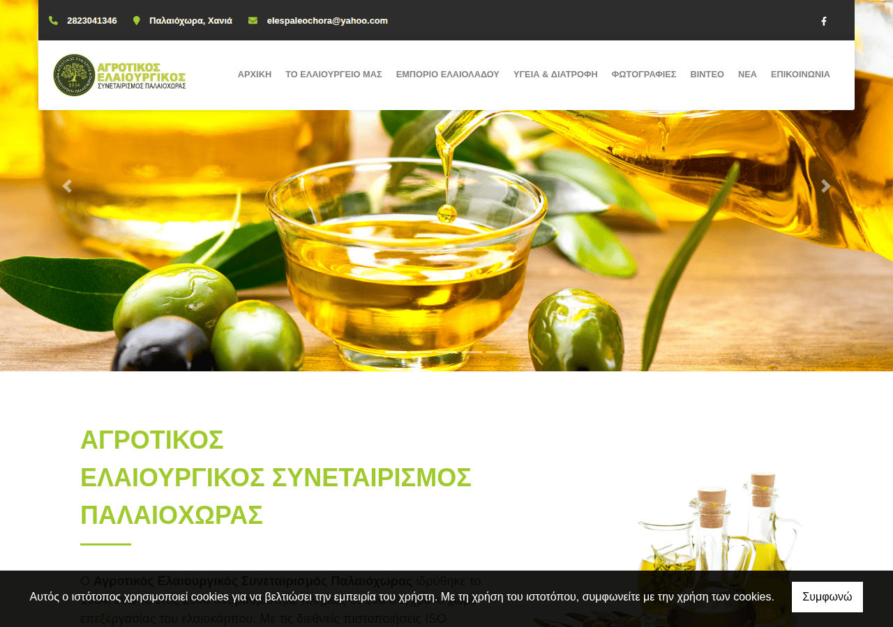 Screenshot of paleochora-oil.gr
