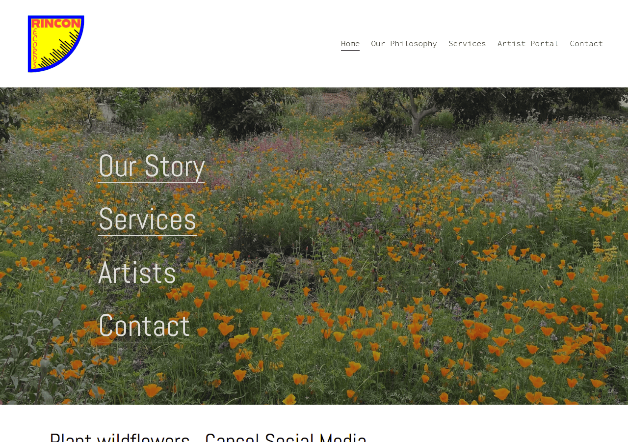 Screenshot of rinconrecords.com